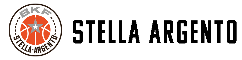Stella Argento Basket Femminile Logo